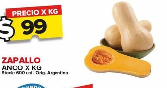 Carrefour Zapallo anco x kg oferta