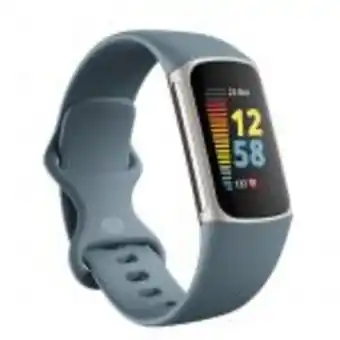 Delta Smartwatch fitbit charge 5 steel blue platinum oferta