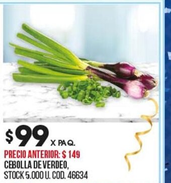 Coto Cebolla de Verdeo oferta