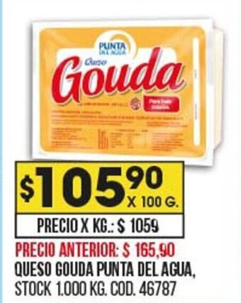 Coto Queso Gouda Punta del Agua oferta