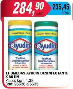 Maxiconsumo Ayudin T.Humedas Desinfectante X 65 Un oferta