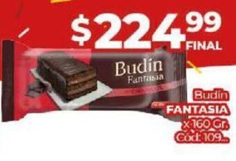 Diarco Budin Fantasia oferta