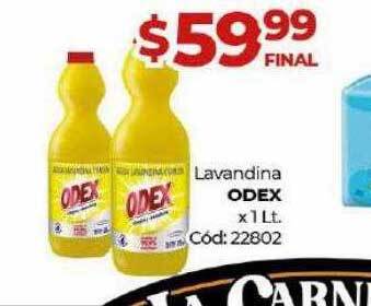 Diarco Lavandina odex oferta