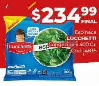 Diarco Espinaca lucchetti congelada x 400 gr oferta