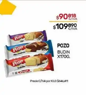 Pozo budin