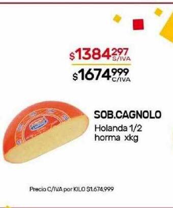 Nini Mayorista Sob cagnolo holanda 1 2 horma xkg oferta