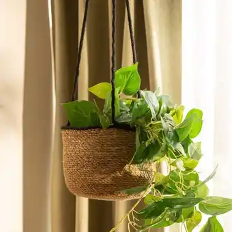 Arredo Portamaceta colgante grande oferta