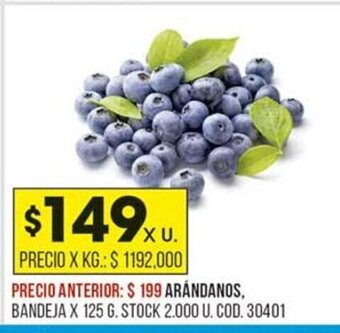 Coto Arándanos oferta