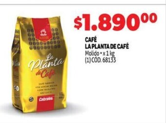 Makro Café La Planta De Café oferta