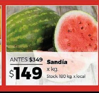 Disco Sandía x kg oferta