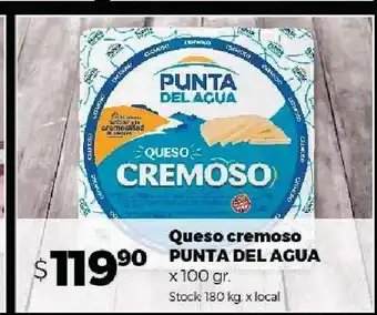 Disco Queso cremoso punta del agua x 100g oferta