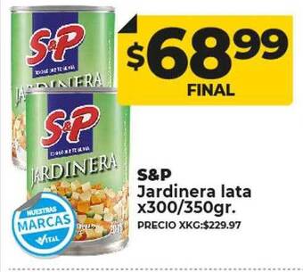 Supermayorista Vital S&p jardinera lata oferta