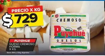Carrefour Queso cremoso puyehué x kg oferta
