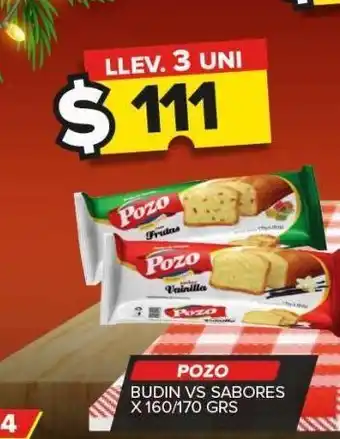 Carrefour Budín pozo oferta
