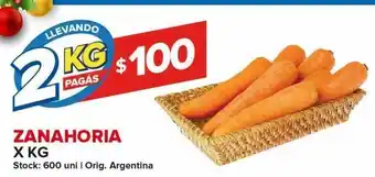 Carrefour Zanahoria x 2kg oferta