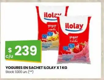 Punto Mayorista Yogures en sachet ilolay oferta