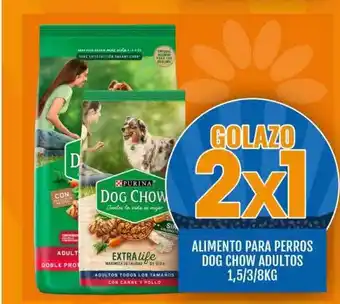 Supermercados Todo Alimento para perros dog chow adultos oferta