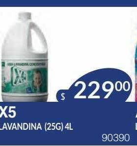 Masivos X5 lavandina oferta