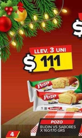 Carrefour Maxi Pozo budin vs sabores oferta