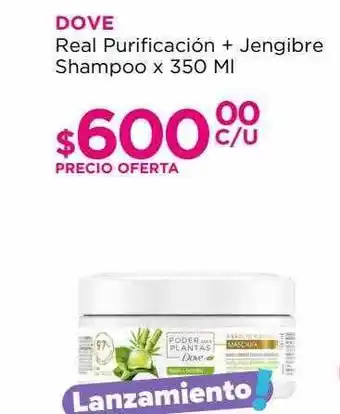 Punto de Salud Dove real purificación + jengibre shampoo oferta