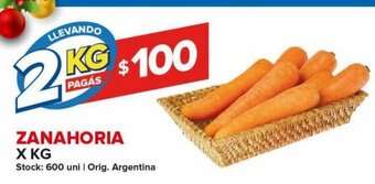 Carrefour Maxi Zanahoria oferta