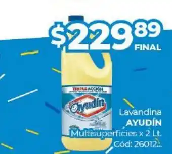 Diarco Lavandina Ayudín Multisuperficies x 2 Lt oferta