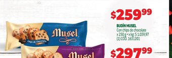 Budin Musel