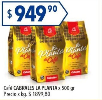 Hergo Café Cabrales La Planta oferta