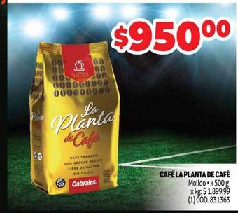 Makro Café la planta de café oferta