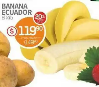 Alvear Banana Ecuador oferta