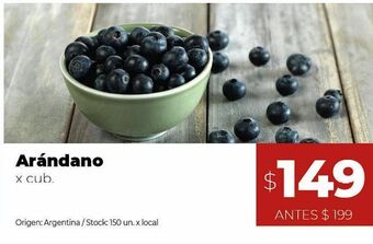 Disco Arándanos oferta