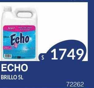 Masivos Echo brillo oferta