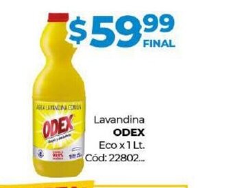 Diarco Lavandina Odex oferta