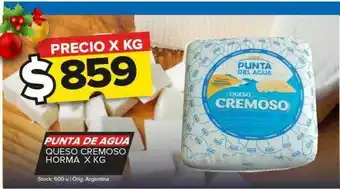 Carrefour Maxi Punta de agua queso cremoso horma x kg oferta