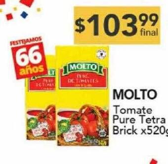 Nini Mayorista Molto tomate pure tetra brick oferta