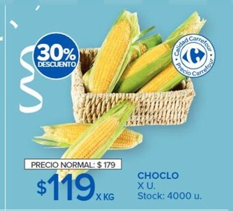 Carrefour Choclo x U oferta