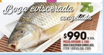 Coto Boga Eviscerada Congelada oferta