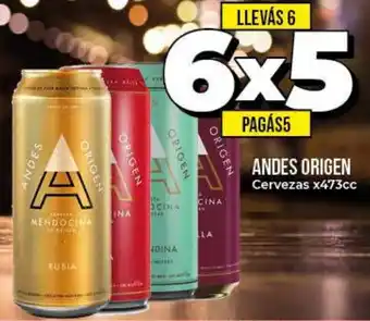 Supermayorista Vital Andes Origen Cervezas x473cc oferta