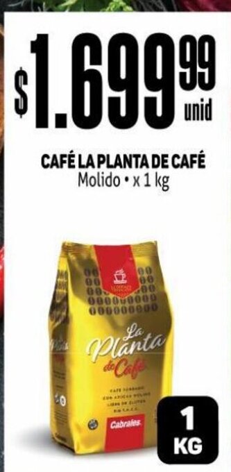Makro Café La Planta De Café oferta