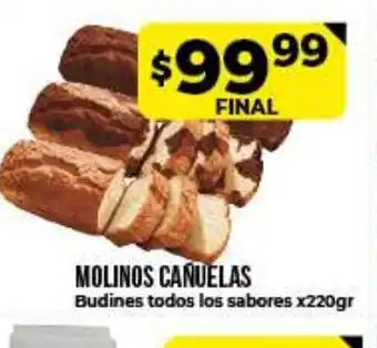 Supermayorista Vital Molinos Cañuelas Budines todos los sabores x220gr oferta