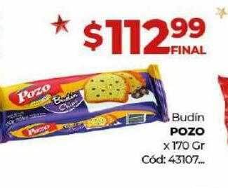 Diarco Budin pozo oferta
