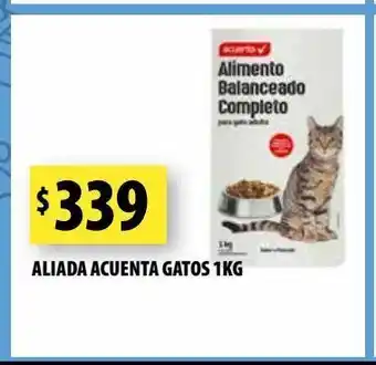 Punto Mayorista Aliada acuenta gatos 1kg oferta