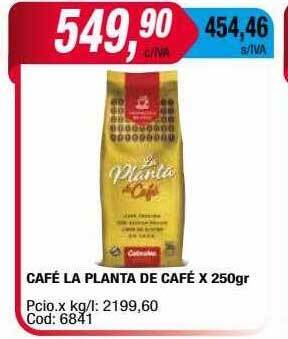 Maxiconsumo Café la planta de café oferta