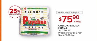 Carrefour Maxi Queso cremoso horma puyehue x 100g oferta