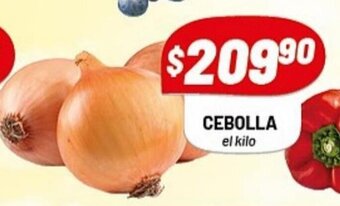 Almacor Cebolla oferta