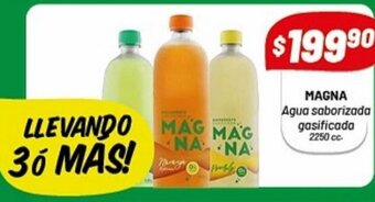 Almacor Magna Agua Saborizada Gasificada oferta