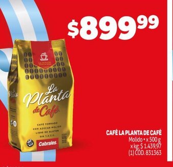 Makro Café La Planta De Café oferta