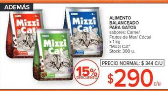 Carrefour Market Alimento balanceado para gatos oferta