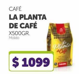 La Gallega Supermercados Café la planta de café oferta