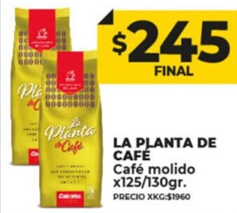 Supermayorista Vital La Planta De Café café molido oferta